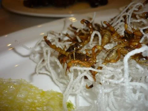 Fried scorpions Stock Photos