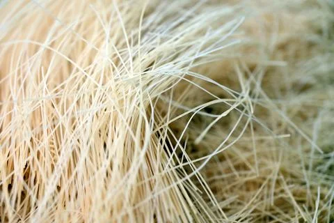 Fried Semiya Texture with Defocus Background Macro Food Photography Stock-Fotos