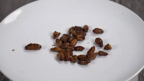 Fried silkworm pupae falling onto white plate. Media Stock Footage 321452154