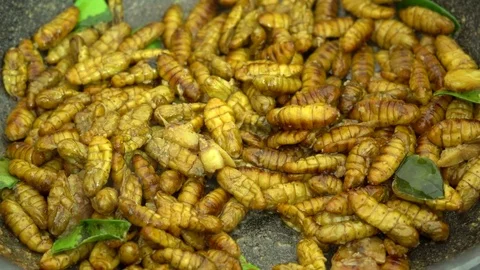 Fried silkworms in a cooking pan Stock Footage 71164905