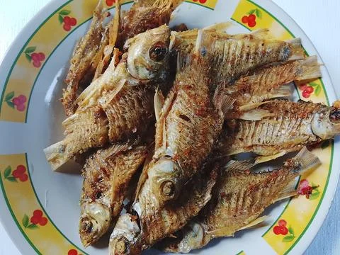 Fried Small Fish Texture Indonesian Cuisine close up Stock Photos