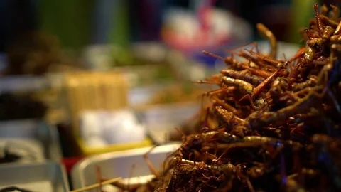 Fried spider and insects. Thai street food. Stock Footage