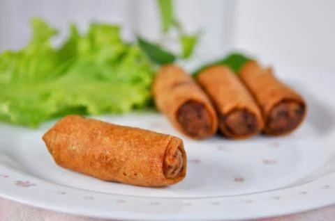 Fried spring rolls Stock Photos
