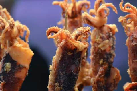 Fried squid Stock Photos