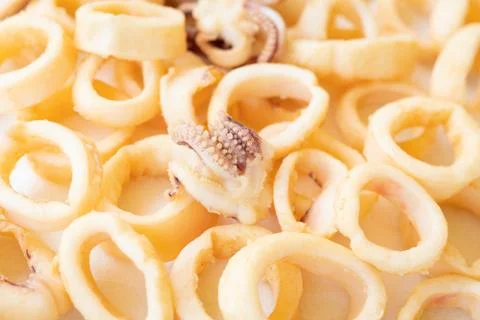 Fried squids close up Stock Photos