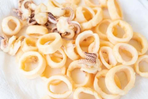 Fried squids on white background Stock Photos