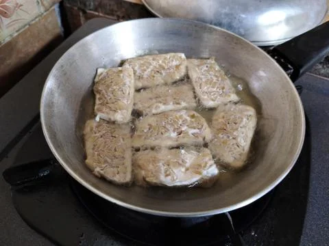 Fried tempeh 库存照片