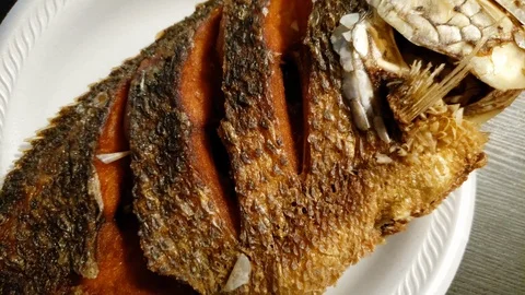 Fried tilapia in small disposable plate Stock Footage 108219257