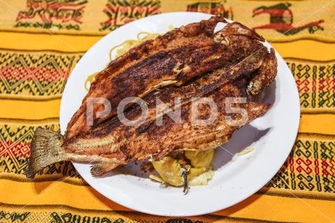 Fried Trout dish served in Peruvian restaurant. Stock Photos