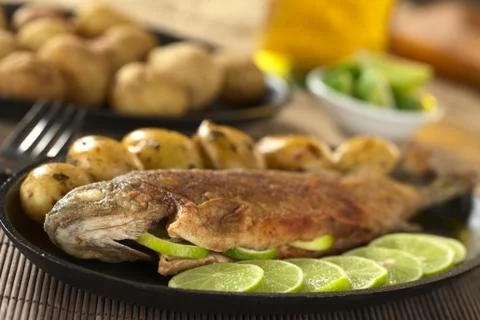 Fried trout Stock Photos