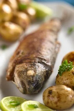 Fried trout Stock Photos