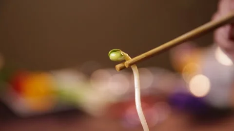 Fried vegetable ingredients with bean sprouts, leek and vermicelli (2) Stock Footage 202208102