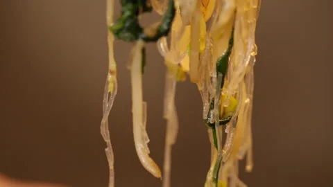 Fried vegetable ingredients with bean sprouts, leek and vermicelli (5) Stock Footage 202208165