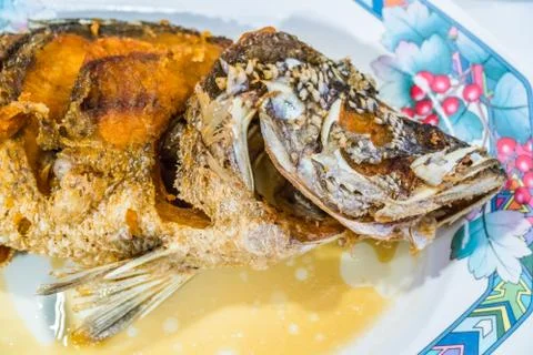 Fried white snapper with fish sauce,Thai food Stock Photos