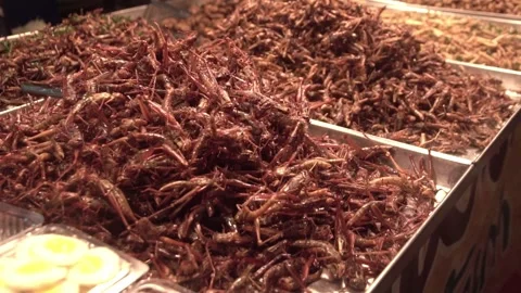 Fried worms and insects on stall, Local Thai street food market. hailand. Video stock 301127954