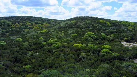 Friedrich Park Video stock 205061608