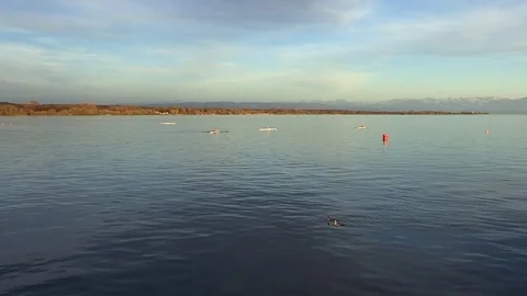 Friedrichshafen am Bodensee, Zeppelinmuseum Stock-Footage 82425089