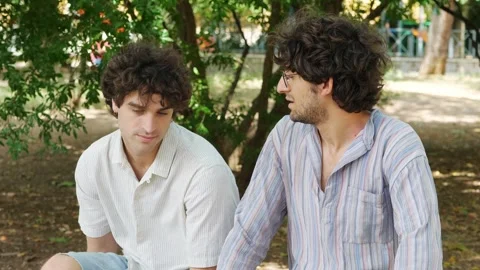 Friend Consoles Another with a Serious Problem at the Park Stock Footage 285539056