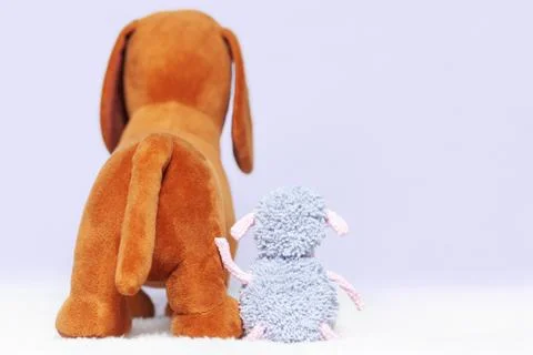 Friend protector concept Stock Photos