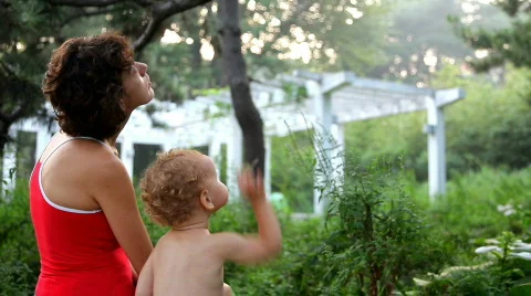 Friendly chat Stock Footage 499807