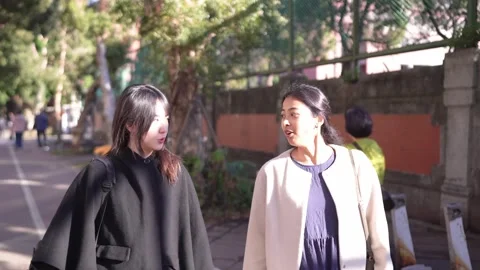 Friendly Chat While Walking on Street Near University in Da’an District, Taipei Stock Footage 281080964