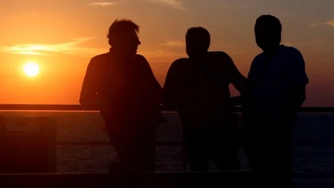 Friendly communication at sunset Stock Footage 79362702