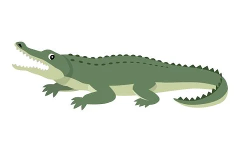 Friendly cute green alligator, funny wild animal Stock Illustration