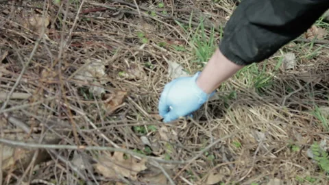 Friendly ecologists cleaning the garbage at park Stock Footage 113181285