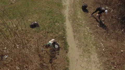 Friendly ecologists working in team while cleaning in park Stock Footage 113107039
