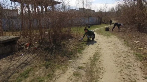 Friendly ecologists working in team while cleaning in park Stock Footage 113107200