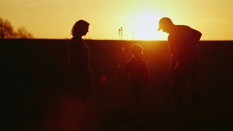 A friendly family plant a tree at sunset. Dad, mom and little son work together Stock Footage