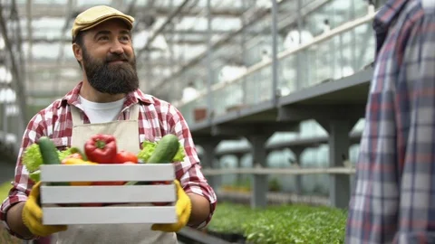 Friendly farmer giving box of fresh vegetables to customer, agriculture business Stock-Footage 118935749