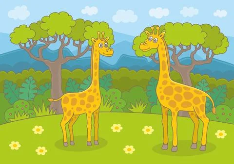 Friendly Giraffes with Trees Nature Stock Illustration