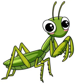 A friendly green praying mantis cartoon character with large eyes isolated on Stock Illustration