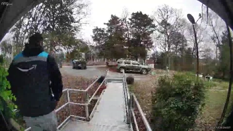 Friendly Hen Scares Away Amazon Driver, Marshville, North Carolina, USA - 09 Feb Stock Footage 268308517