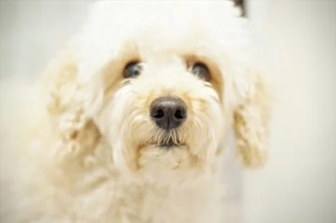 Friendly look Stock Photos