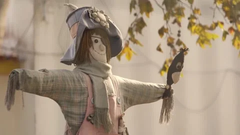 FRIENDLY LOOKING SCARECROWS HOLDING A KNITED BIRD WITH PLATANUS BRANCH LEAVES Video stock 213971918