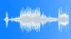 Friendly Voice Greeting: Good to See You (2)Sound Effect