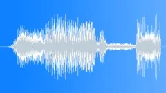 Friendly Voice Greeting: Greetings (1)Sound Effect