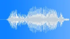 Friendly Voice Greeting: Welcome (3)Sound Effect