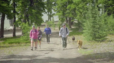 Friends and pets hike together Video stock 59082890
