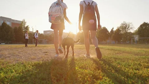 Friends Are Going to School. They Have A Lot of Fun Because Today is Their First 動画素材 94328494