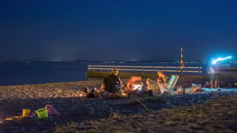Friends Around Beach Campfire Under Twilight Sky Stock Footage 342891698