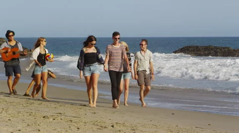 Friends on the beach Stock-Footage 62346095