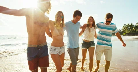 Friends on the Beach at Sunset Stock Footage 65839714
