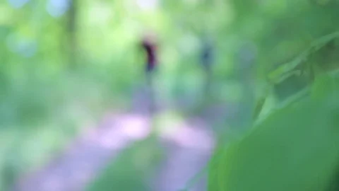 Friends biking in park Stock Footage 76256415
