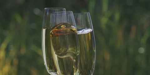 Friends celebrating with wine Video stock 247382019