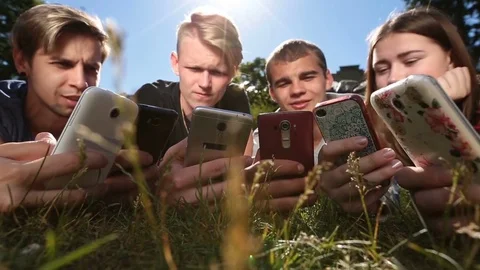 Friends in circle using smartphones on park lawn Stock-Footage 76669596