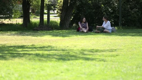 Friends converse in park Stock Footage 77101233