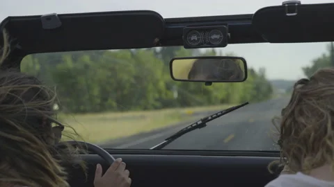 Friends Dance to the Music While Driving with the Top Down Stock Footage 208710056
